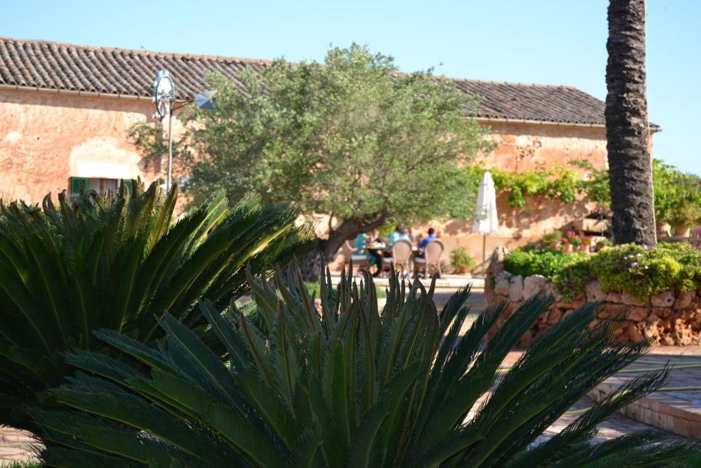 Agroturismo Finca Son Sala Campos  Exterior foto