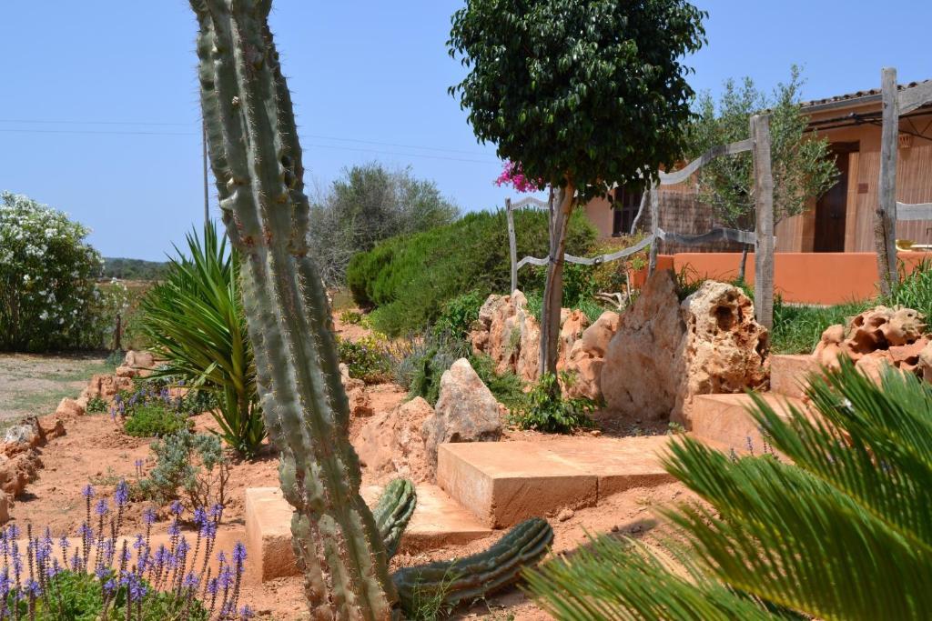 Agroturismo Finca Son Sala Campos  Exterior foto